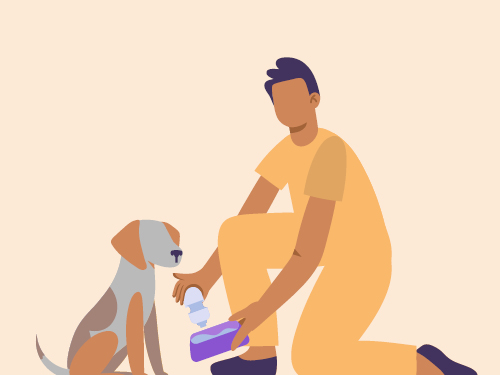 VCA Awareness Week pack download
